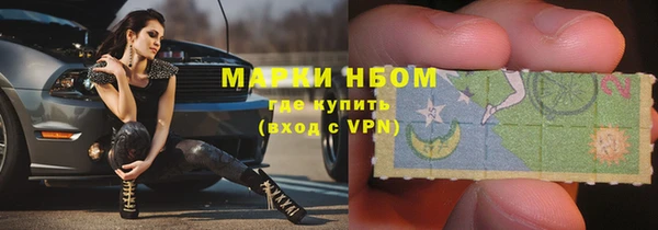 винт Аркадак