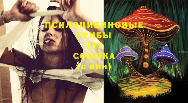 трава Арсеньев