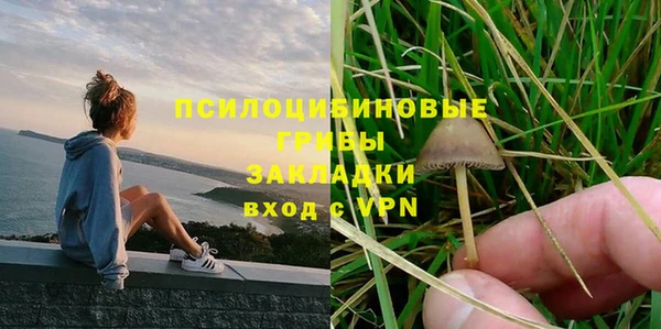 винт Аркадак