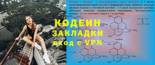 трава Арсеньев